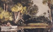 Winslow Homer Homosassa Jungle (mk44) oil painting picture wholesale